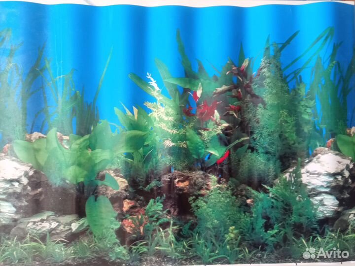Фон (украшение) для аквариума