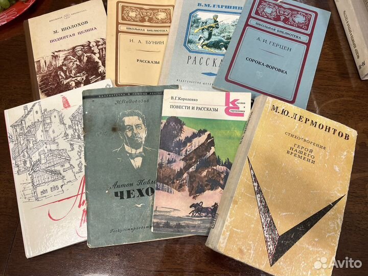 Книги комплект по литературе изучаемые в школе