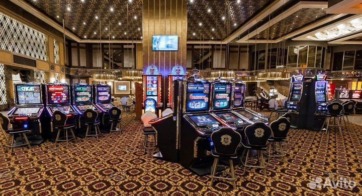 Тур в Калининград, путешествие и отдых на море