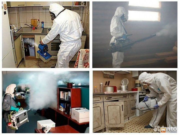 Уничтожение клопов тараканов плесени. Дезинфекция