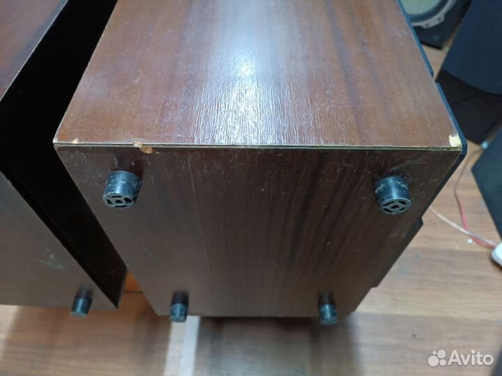 Колонки радиотехника S90B