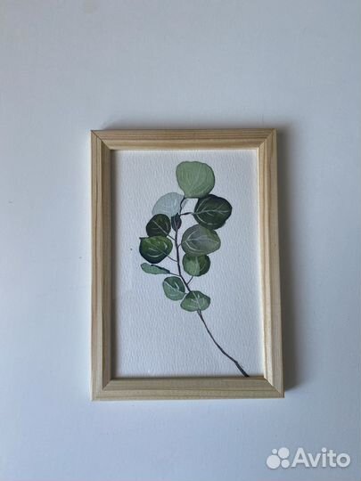 Эвкалипт акварелью, набор