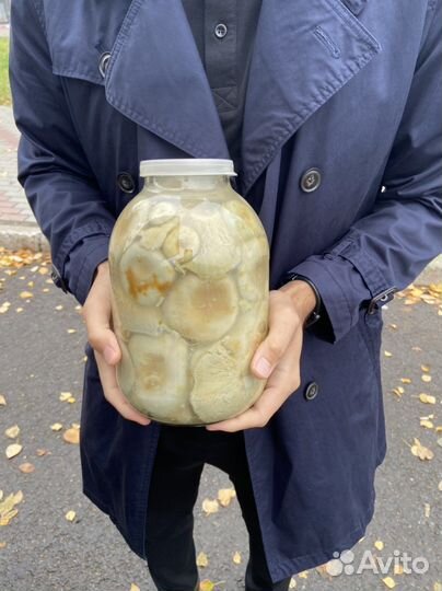 Грузди соленые