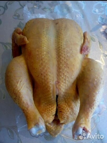Тушка бройлера