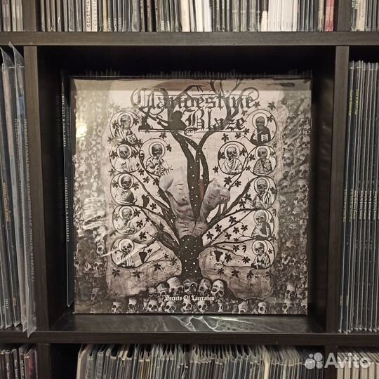 Black/death/atmospheric metal LP винил