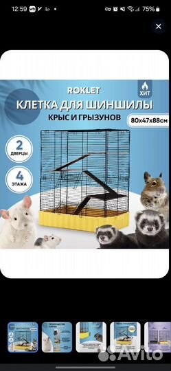 Клетка