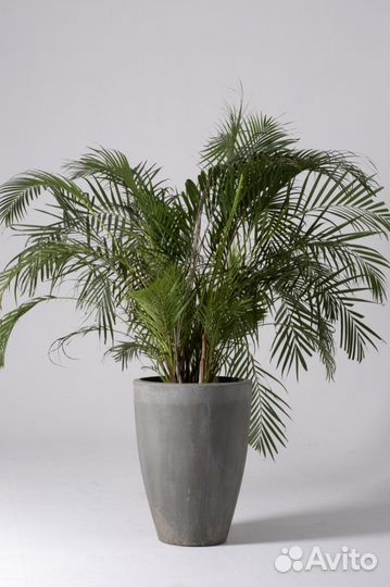 Кашпо бетонное (форма)