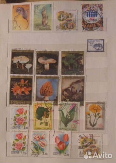 Почтовые марки