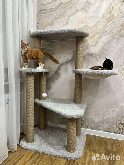 Домик когтеточка комплекс доставка