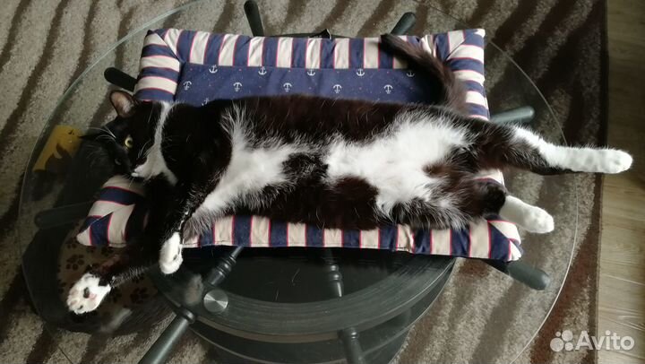 Кошка