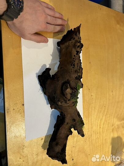 Eheim 2217 eheim classic 600, Eheim, JBL