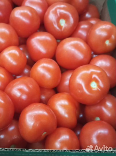 Помидоры и фрукты оптом и в розницу