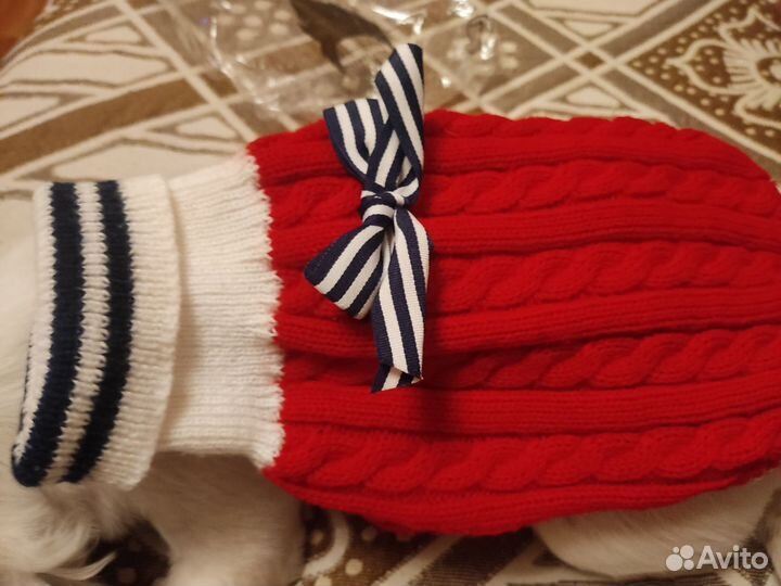 Одежда для маленьких собак xs