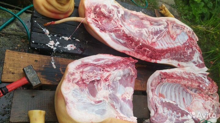 Домашние мясо свинина