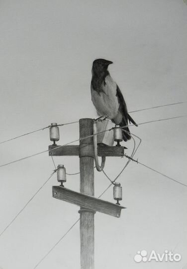 Картины карандашом, 30х40см. Анималистика