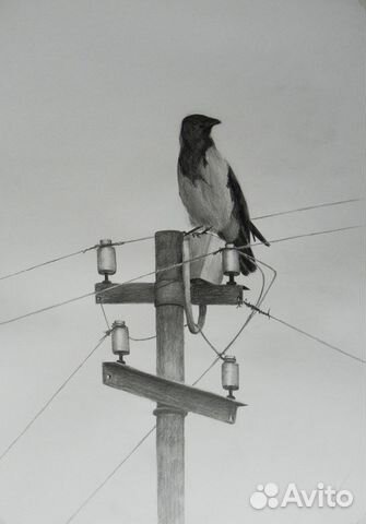 Картины карандашом, 30х40см. Анималистика