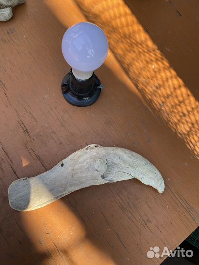 Ветки и коряги