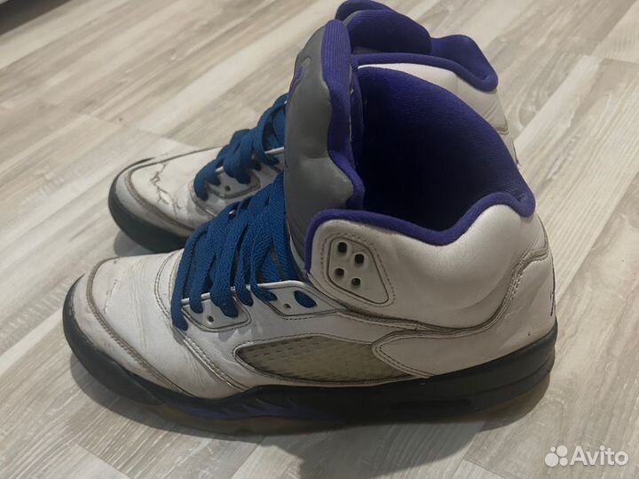 Jordan 5 retro concord