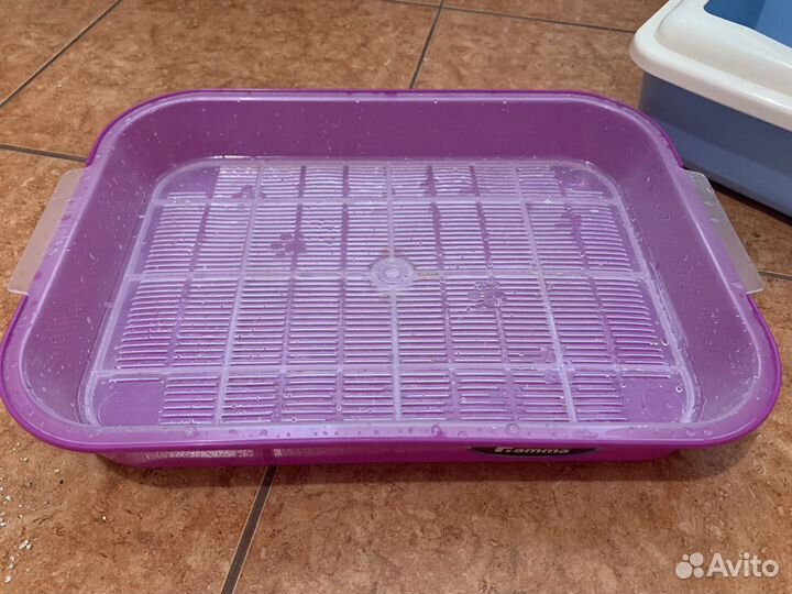 Лоток для котят
