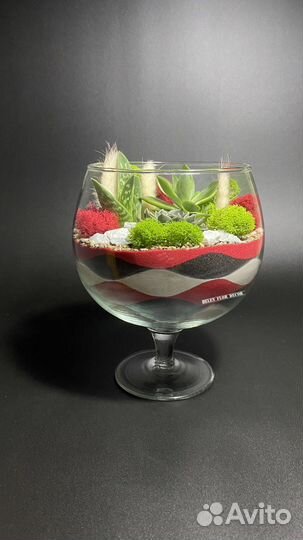 Флорариум в подарок