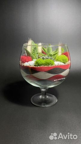 Флорариум в подарок