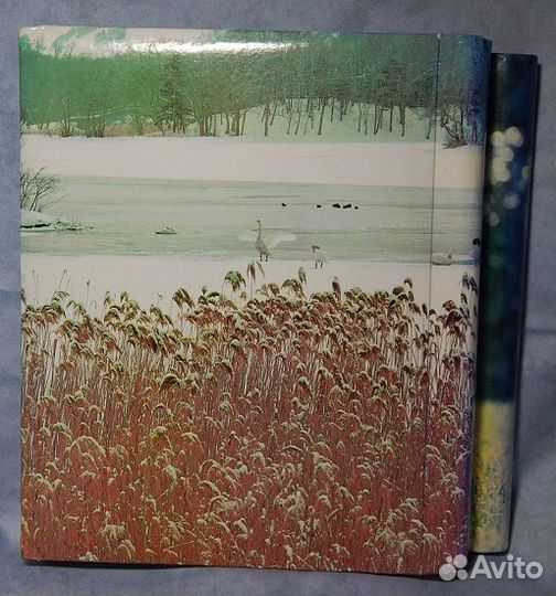 Фотоальбомы (2шт.)