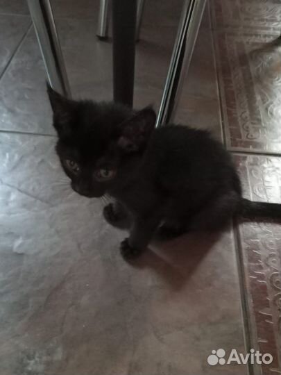 Мальчик ищет добрые руки