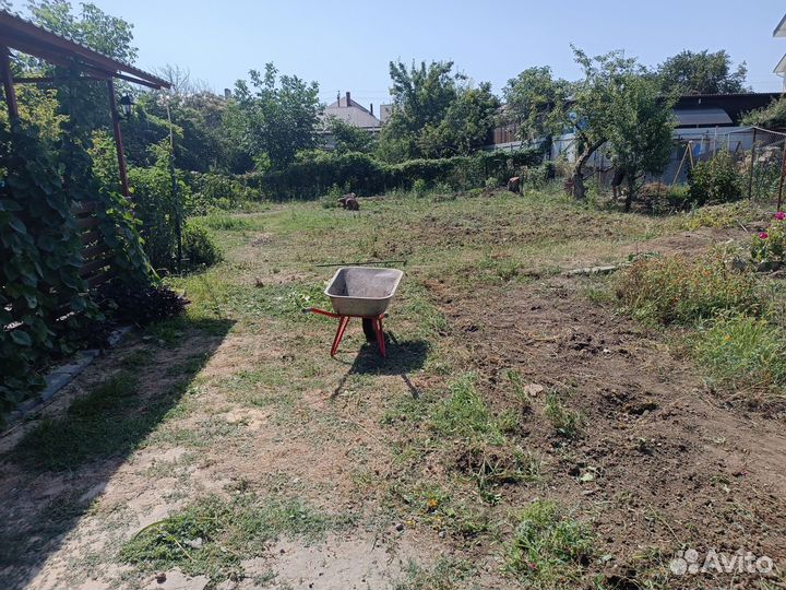 Рулонный газон, посевной газон, автополив