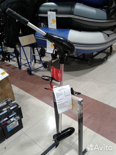 Электромотор плм Watersnake fwad 30/30 advance