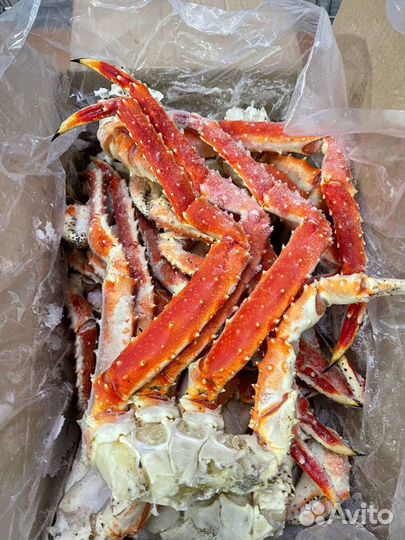 Клешни камчатского краба