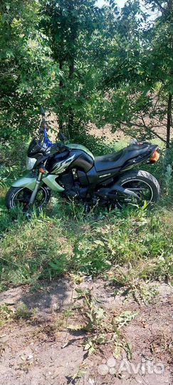 Recer nitro 250