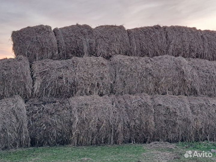 Сено в тюках