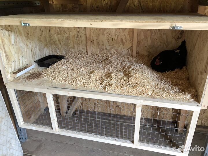 Клетки для птиц, кур, молодника, цыплят