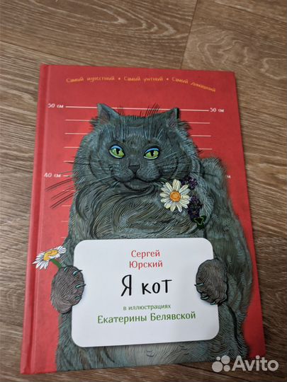 Я кот