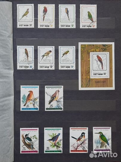 Коллекция почтовых марок 