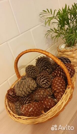 Шишки для поделок