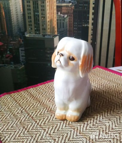 Пекинес СССР