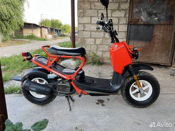 Honda zoomer
