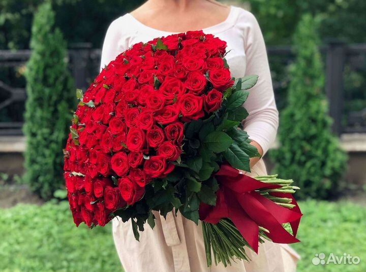 101 роза цветы букеты доставка 25 51 101 роза