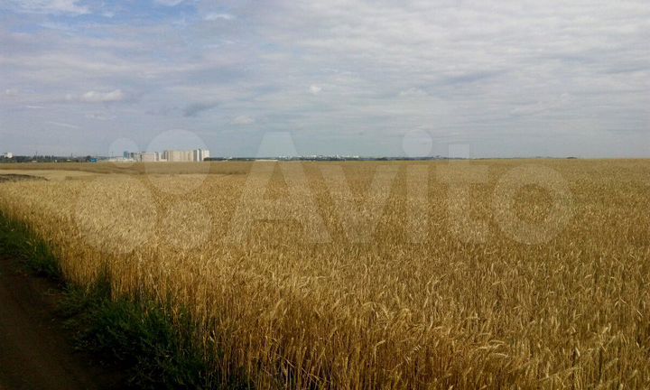Участок 6 га (СНТ, ДНП)
