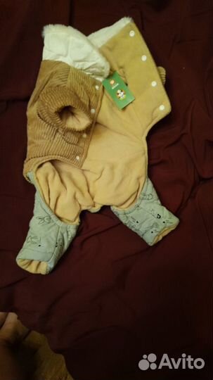 Одежда для собак