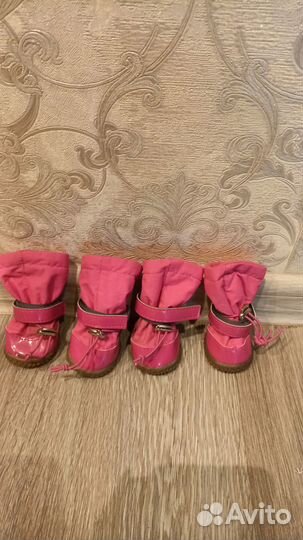 Одежда и обувь для маленьких собак