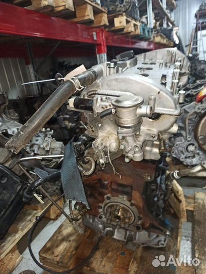 Двигатель Volkswagen Multivan