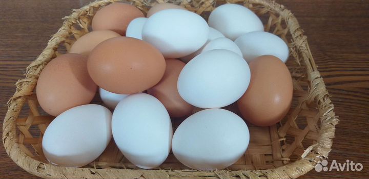 Домашние куриные яйца