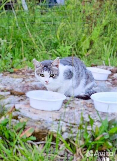 Оставили на даче одну