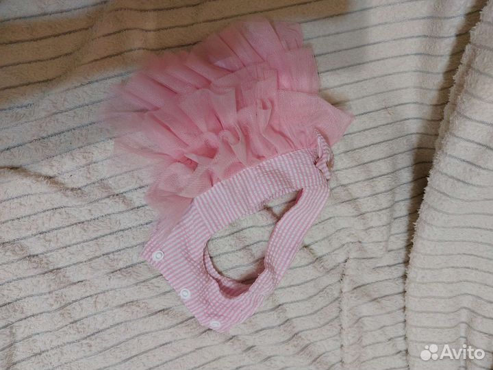 Одежда для собак