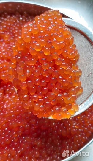Красная икра