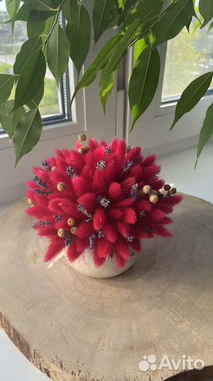 Сухоцветы, букет из сухоцветов