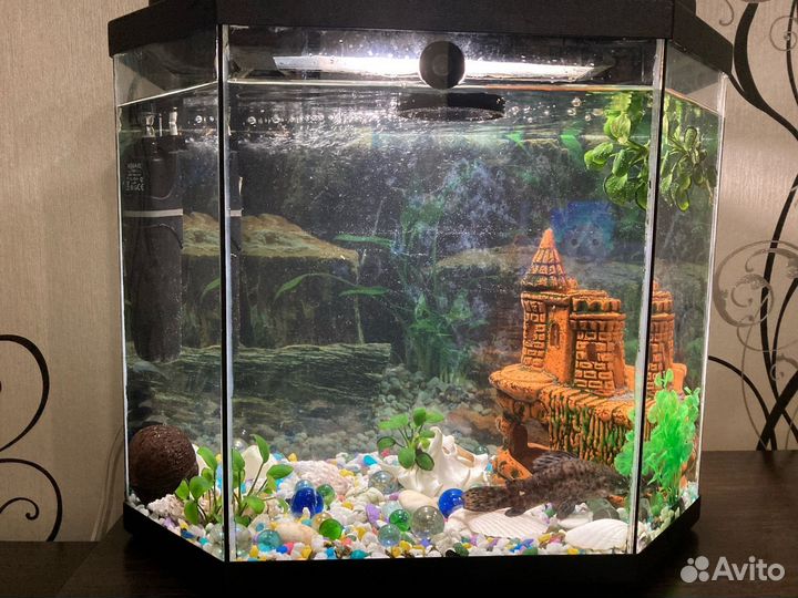 Аквариум