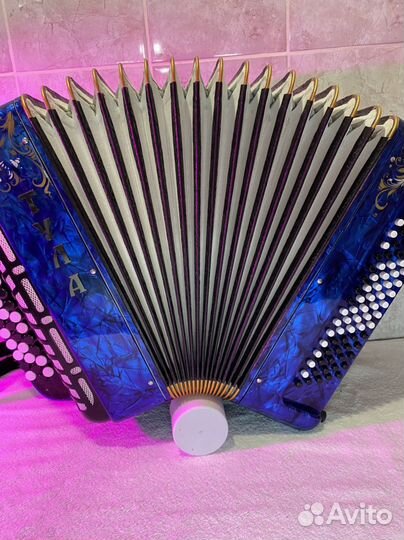 Баян Тула бн 41 Компактный Лёгкий 1днв Аналог